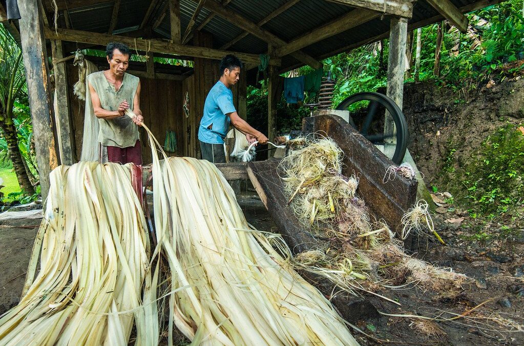 Banana Fiber: it is not just a furniture material, it is a life!